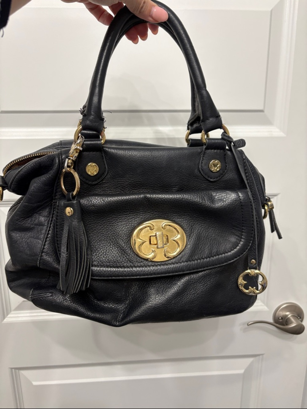 Emma Fox Black Leather Satchel with Gold-Tone Hardware and Tassel